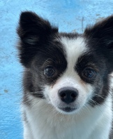 10주차 훈련수업