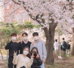 시스터브라더 벚꽃 사진 대회 참가자(2021.04.09 Sister&Brother)