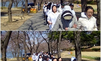 2009년 간호과 MT