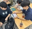 2024-1 전공-동료학습(멘토링) 